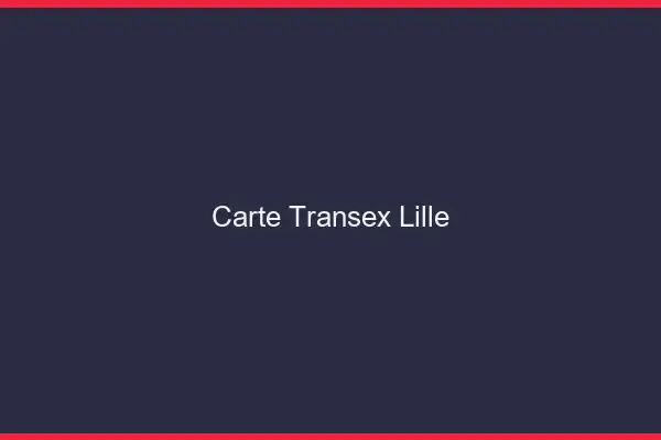 Carte Transex Lille