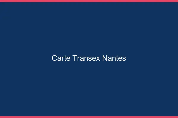 Carte Transex Nantes