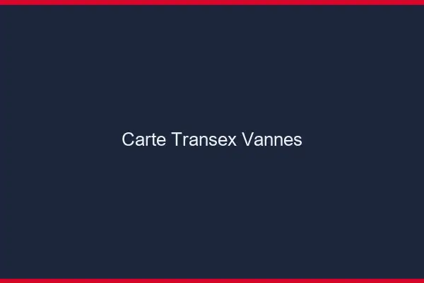 Carte Transex Vannes