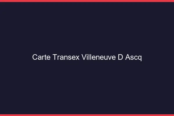 Carte Transex Villeneuve-d'Ascq