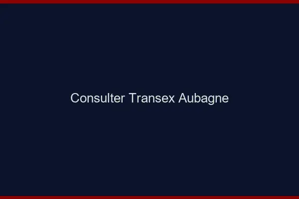 Consulter Transex Aubagne