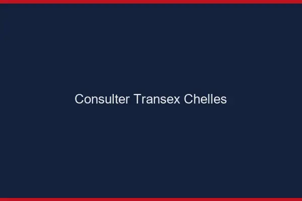 Consulter Transex Chelles