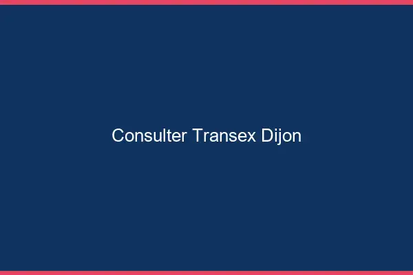 Consulter Transex Dijon