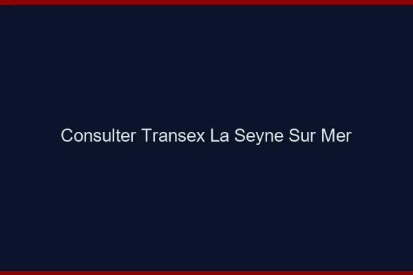 Consulter Transex La Seyne-sur-Mer