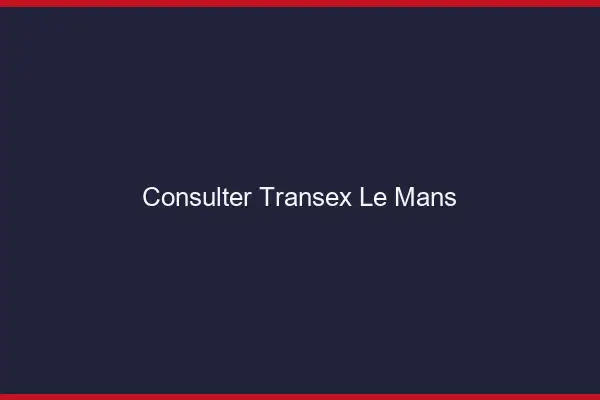 Consulter Transex Le Mans