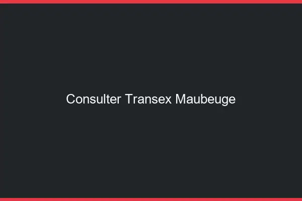 Consulter Transex Maubeuge