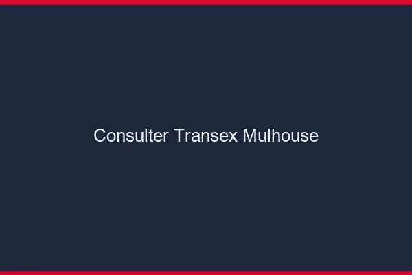Consulter Transex Mulhouse