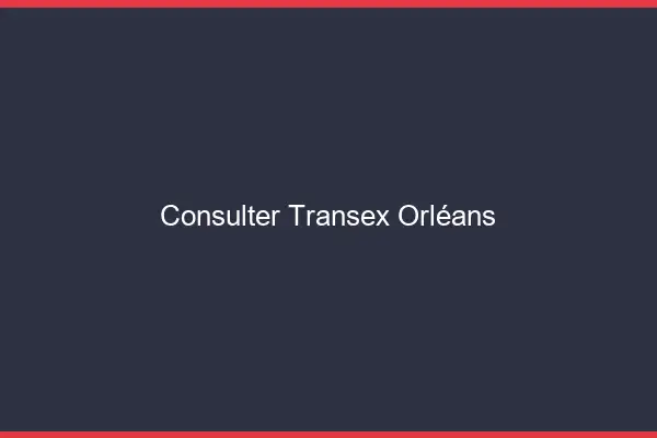 Consulter Transex Orléans