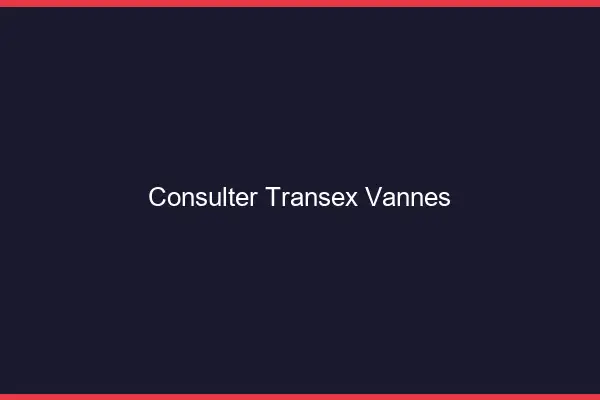 Consulter Transex Vannes