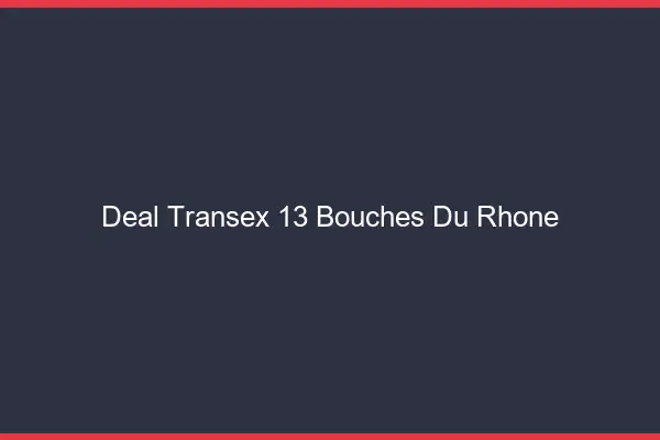 Deal Transex 13 Bouches Du Rhone