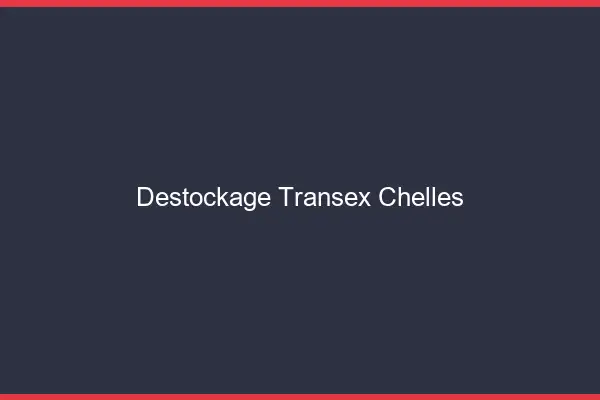 Déstockage Transex Chelles