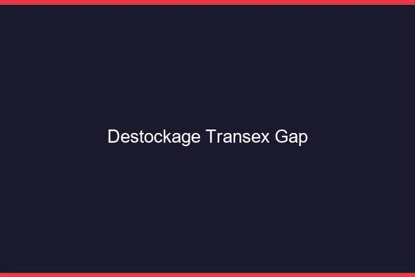 Déstockage Transex Gap