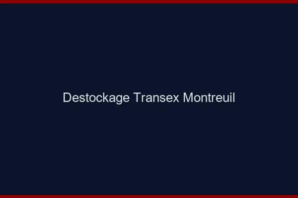 Déstockage Transex Montreuil