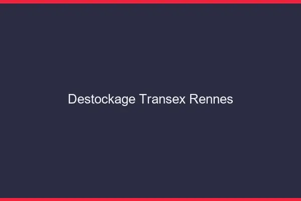 Déstockage Transex Rennes