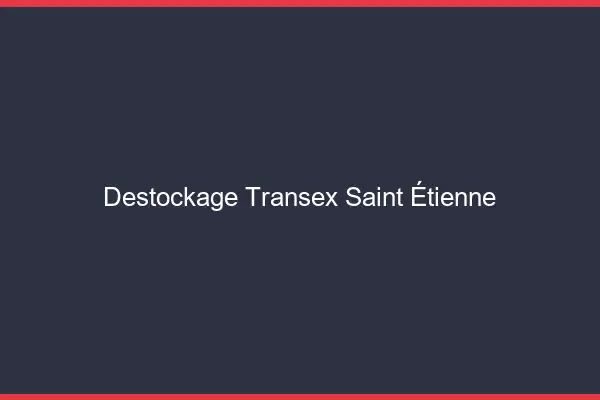 Déstockage Transex Saint-Étienne
