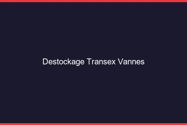 Déstockage Transex Vannes