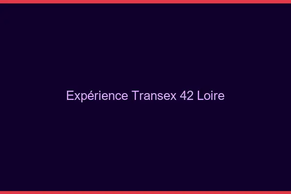 Expérience Transex 42 Loire