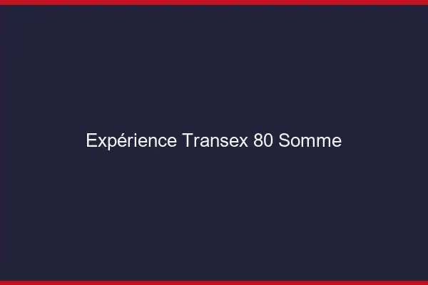 Expérience Transex 80 Somme