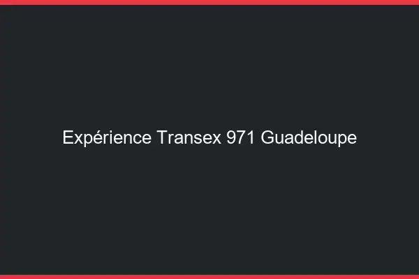 Expérience Transex 971 Guadeloupe