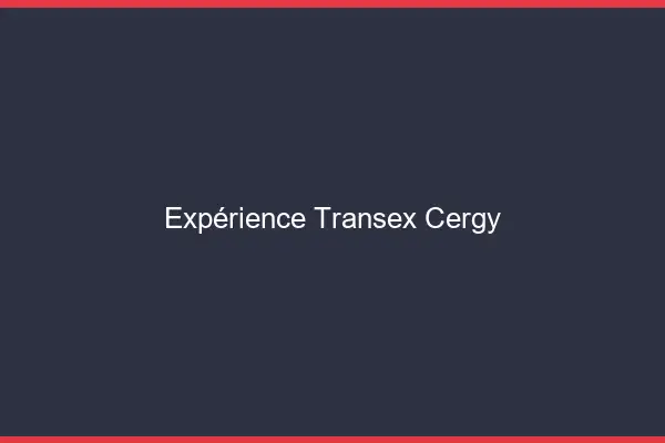 Expérience Transex Cergy