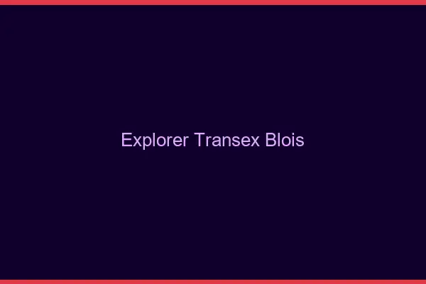 Explorer Transex Blois