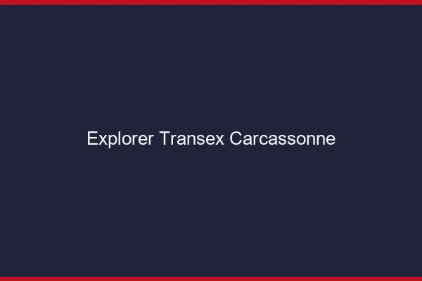 Explorer Transex Carcassonne