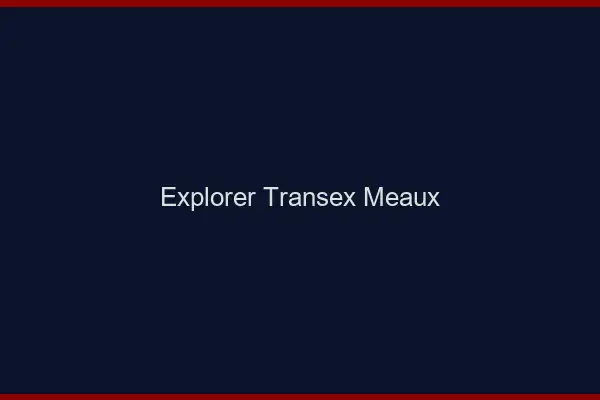 Explorer Transex Meaux