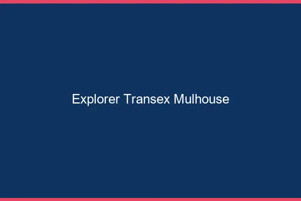 Explorer Transex Mulhouse