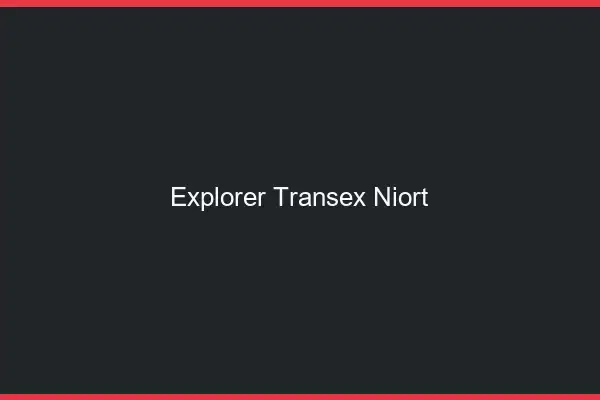 Explorer Transex Niort