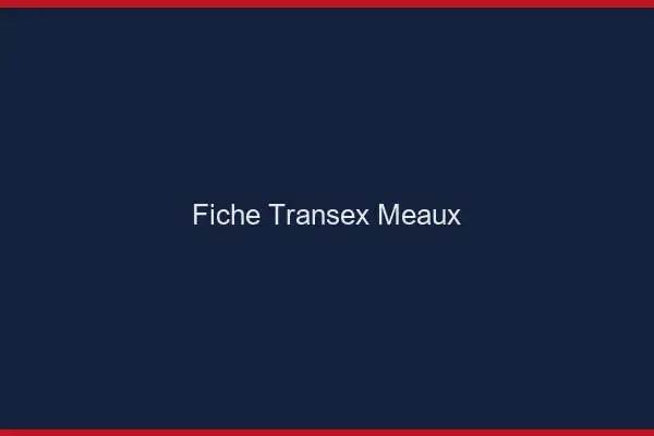 Fiche Transex Meaux