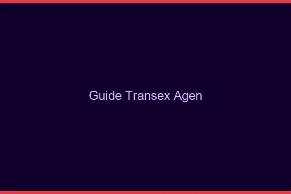 Guide Transex Agen