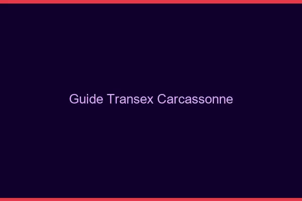 Guide Transex Carcassonne