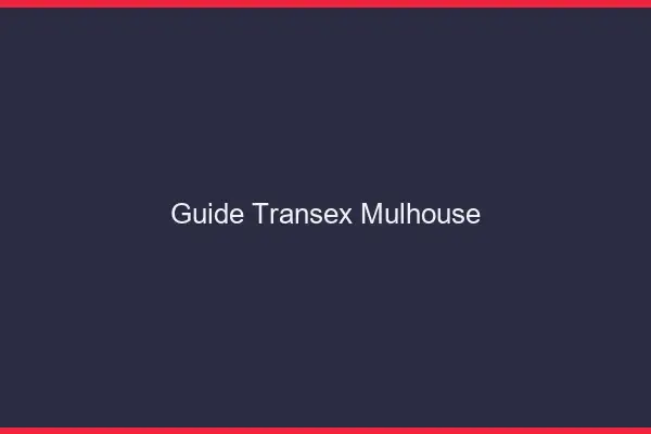 Guide Transex Mulhouse