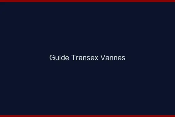 Guide Transex Vannes