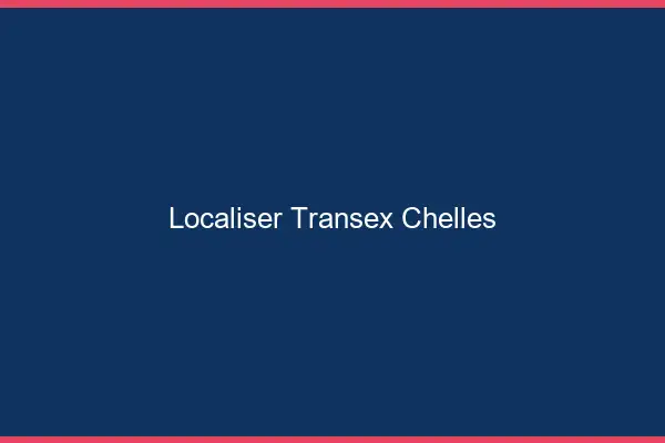 Localiser Transex Chelles