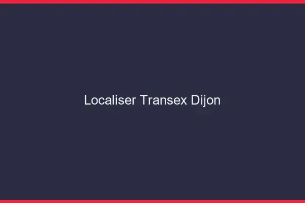 Localiser Transex Dijon