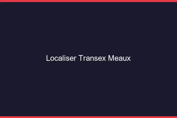 Localiser Transex Meaux