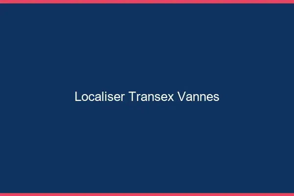 Localiser Transex Vannes