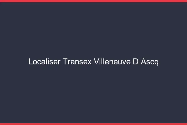 Localiser Transex Villeneuve-d'Ascq