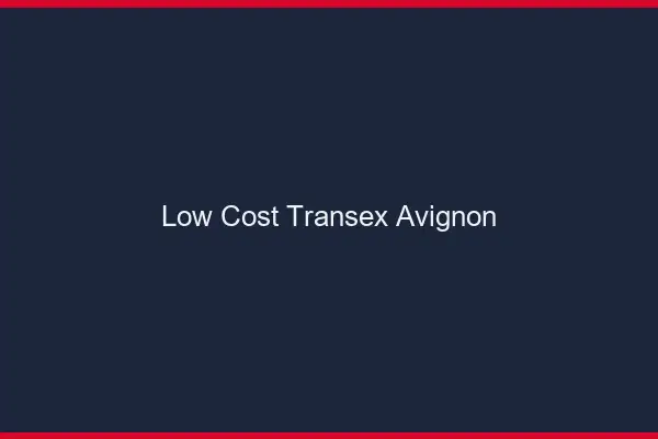 Low Cost Transex Avignon