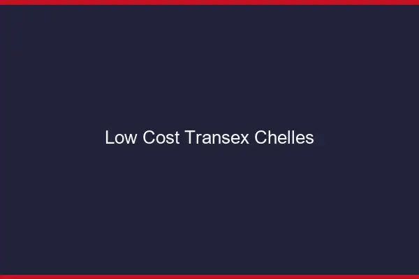 Low Cost Transex Chelles