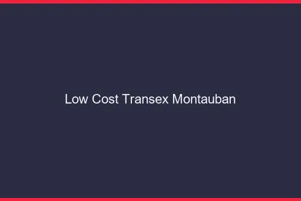Low Cost Transex Montauban