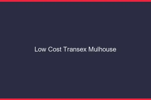 Low Cost Transex Mulhouse
