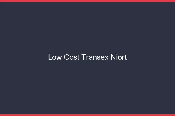 Low Cost Transex Niort