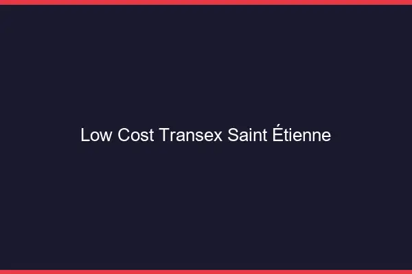 Low Cost Transex Saint-Étienne