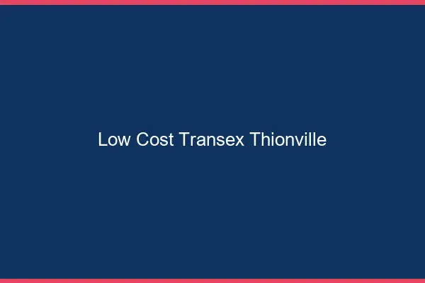 Low Cost Transex Thionville