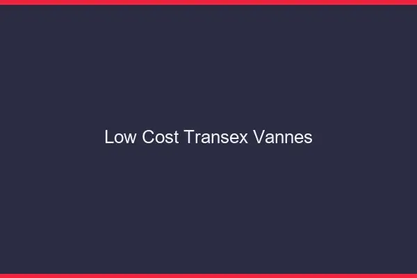 Low Cost Transex Vannes