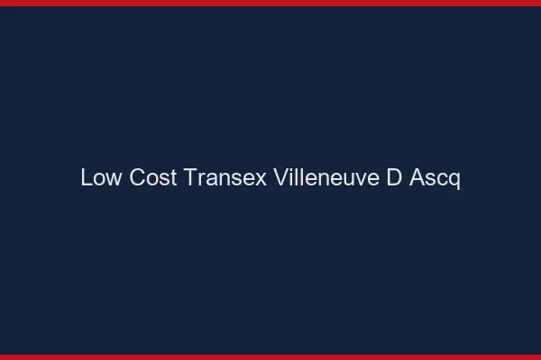 Low Cost Transex Villeneuve-d'Ascq