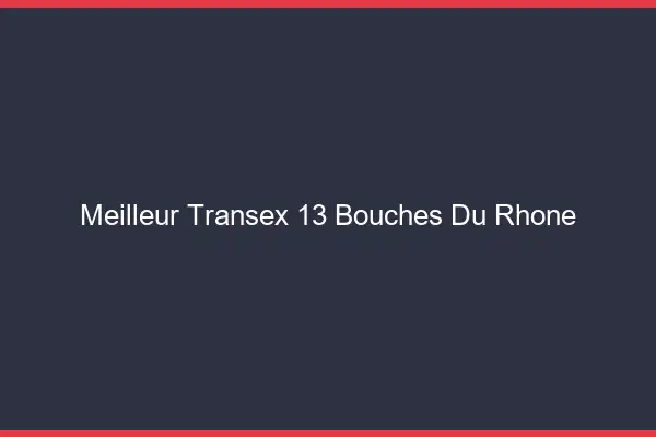 Meilleur Transex 13 Bouches Du Rhone