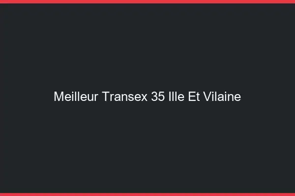 Meilleur Transex 35 Ille Et Vilaine